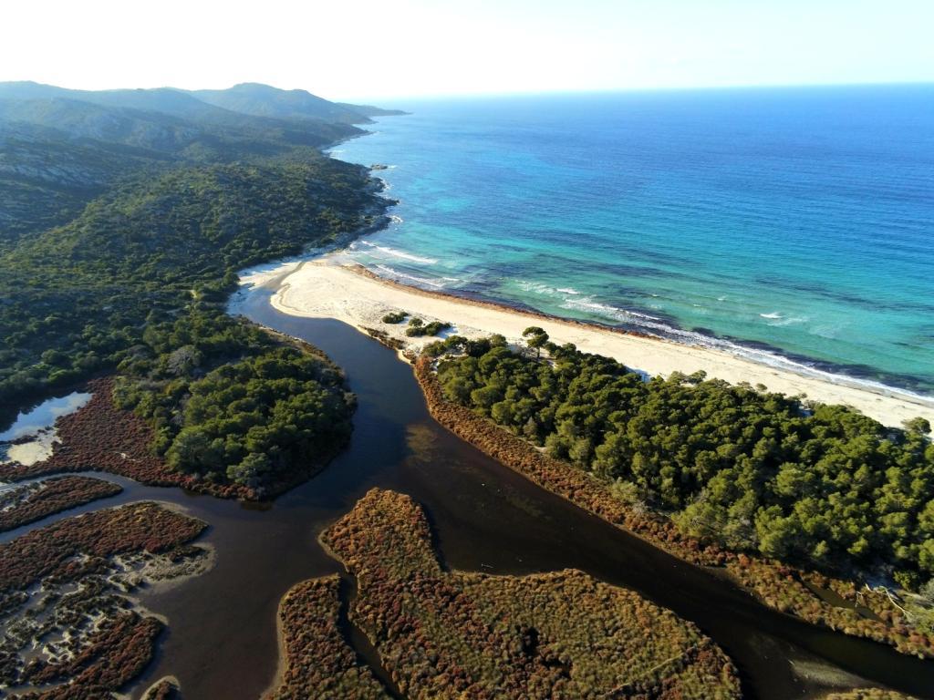 plage de saleccia dans le desert des agriates